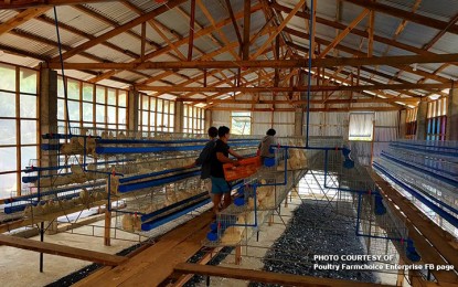 <p>A poultry farm in Benguet</p>